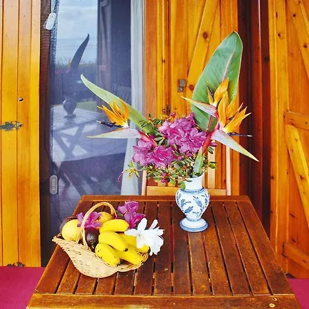 Sao Miguel Near Franca Holiday home