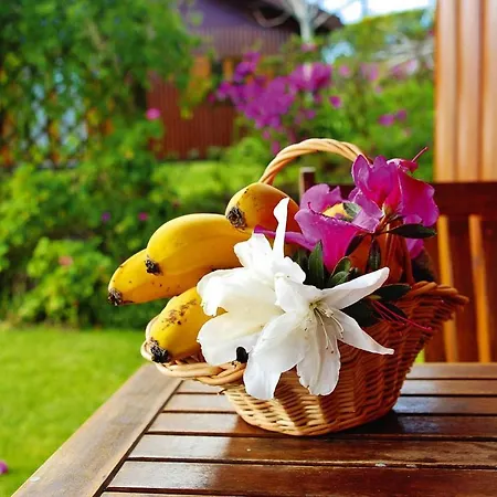 Sao Miguel Near Franca Dom wakacyjny Vila Franca do Campo