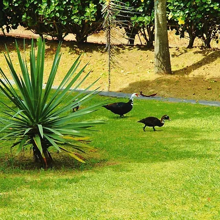 Dom wakacyjny Sao Miguel Near Franca *