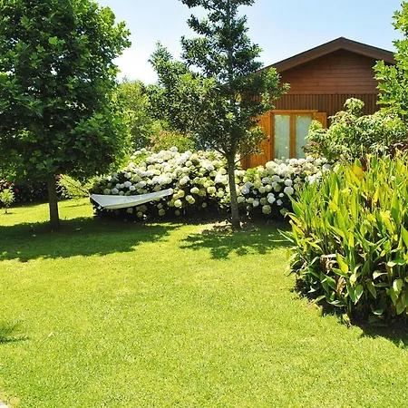 Sao Miguel Near Franca *