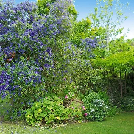 Sao Miguel Near Franca