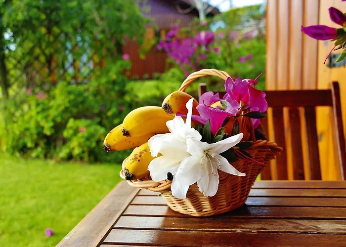 Sao Miguel Near Franca Hébergement de vacances Vila Franca do Campo