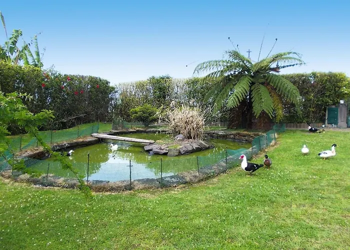 Sao Miguel Near Franca Hébergement de vacances *